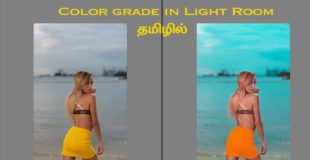 Color Grade in Lightroom | Learn Photography in Tamil