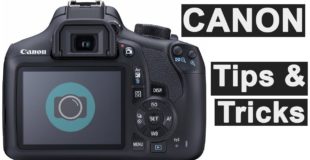 Canon photography tips and tricks for beginners – get more from your camera.