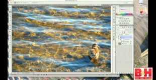 How to Blend Images and Create a Composite in Adobe Photoshop CC 2021